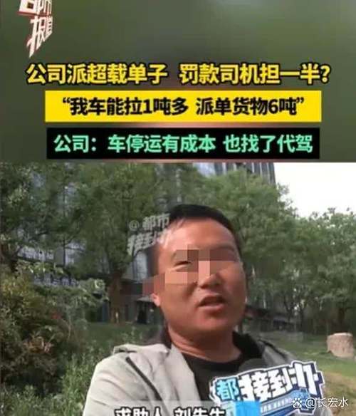 在一座普通的城市中,刘先生是一名勤恳的货运司机,日复一日奔波在南北